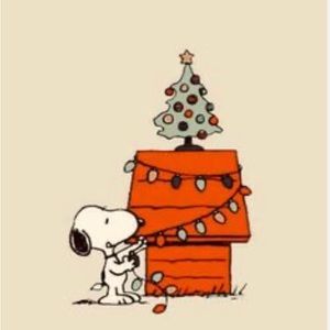 Meet your Posher, Lola